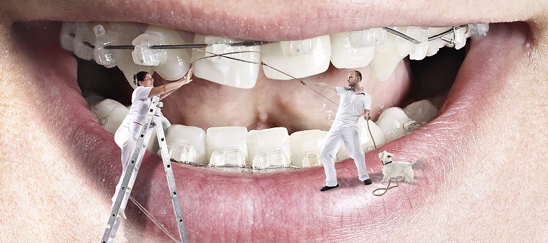 ortho